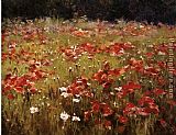 Field of Red Flowers by Unknown Artist